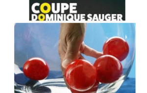 Coupe Dominique Sauger 